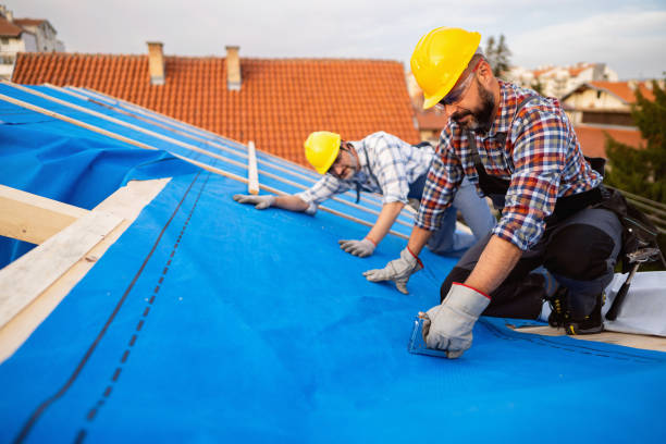 Best Roof Gutter Cleaning  in White Sulphur Springs, MT